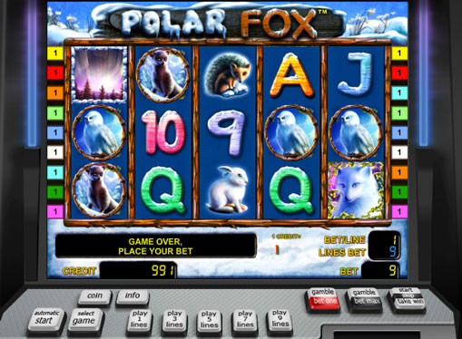 Polar Fox graj za pieniądze